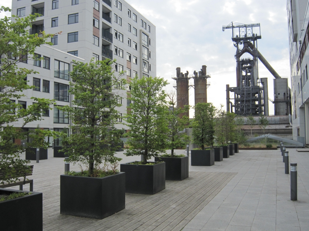 Image 6