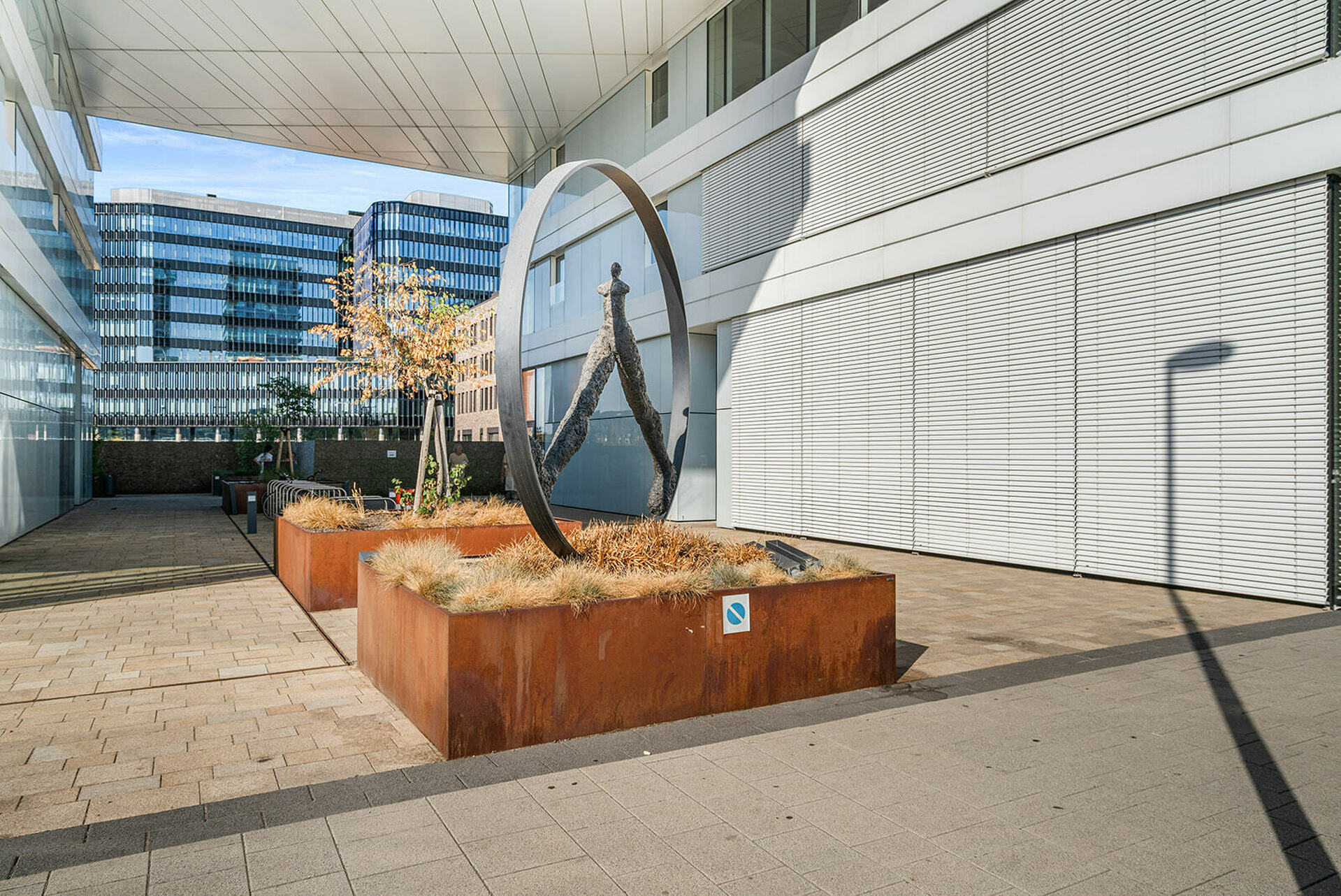 Image 15